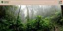 forest-super-foods-organic-australian-gr-4.jpg