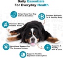 doggie-dailies-senior-essentials-multivi-4.jpg