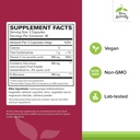 terry-naturally-urinary-tract-intensive--2.jpg