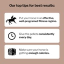 formula-707-musclemx-equine-supplement-1-5.jpg