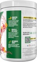 alpha-supps---alpha-greens-supplement-fr-5.jpg