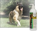 ultracruz---sc-395363-canine-pure-polloc-3.jpg