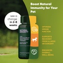 rooted-owl-natural-immunity---cat-and-do-2.jpg