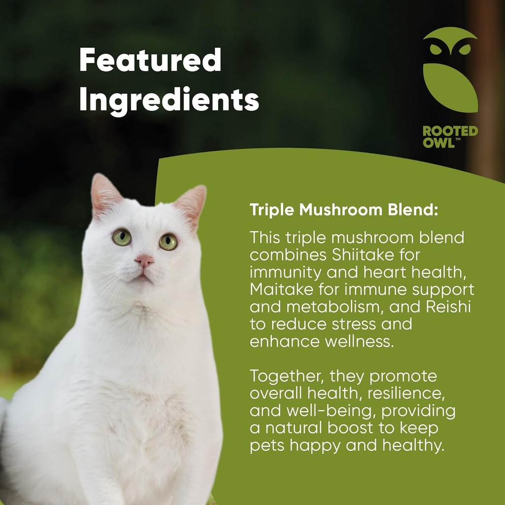 rooted-owl-natural-immunity---cat-and-do-3.jpg