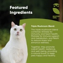 rooted-owl-natural-immunity---cat-and-do-3.jpg