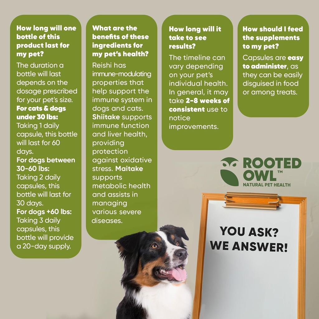 rooted-owl-natural-immunity---cat-and-do-6.jpg