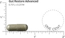 dr-drew-sinatras-lifebiome-gut-restore-a-3.jpg