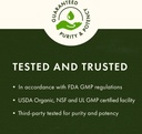swanson-full-spectrum-avena-sativa-green-3.jpg