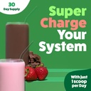 feel-great-usda-organic-reds-super-green-5.jpg
