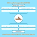 nutricelebrity-optimal-stress-relief-and-5.jpg
