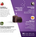 dog-urinary-tract-infection-treatment-bl-4.jpg