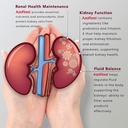 azoflora-supplement-for-healthy-kidneys--4.jpg