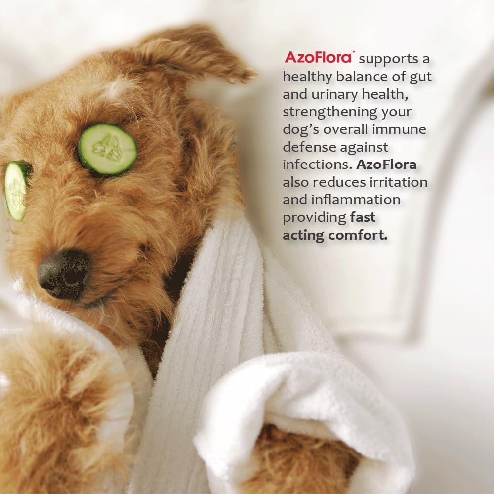 azoflora-supplement-for-healthy-kidneys--6.jpg