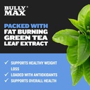 bully-max-2-in-1-dog-health-chews-for-we-3.jpg