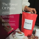 sakara-metabolism-super-powder-10-servin-2.jpg