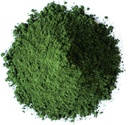 Food to Live Organic Chlorella Powder, 4 Pounds — Non-GMO, Kosher, Raw Green Algae, Vegan Superfood, Bulk, Pure Vegan Green Protein, Rich in Vitamins and Minerals, Great for Drinks, Broken Cell Wall 4