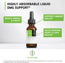 DAVINCI Labs Gluconic DMG Liquid 300mg - Helps Support Immune System, Muscle Function, Heart Health & Brain Health* - 2 fl oz (60 Servings) 4