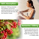 Berberine Supplement 1500mg, Organic Berberine Liquid Drops with Ceylon Cinnamon, Bitter Melon, Sugar-Free & Vegan Supplement Supports Immune System & Gastrointestinal Care - 4 FL Oz 2
