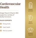 Solgar Niacin (Vitamin B3) 500 mg, 250 Vegetable Capsules - Energy Metabolism - Non-GMO, Vegan, Gluten Free, Dairy Free, Kosher - 250 Servings 6