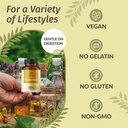 HERBAMAMA Mastic Gum Capsules 1400mg - Gut & Digestive Support with Mastic Gum Supplement - Vegan, Non-GMO Resin Digestion Capsules 6