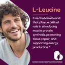 BESTVITE Filler-Free L-Leucine 500mg per Capsule (480 Vegetarian Capsules) (240x2) – No Stearates, No Fillers – Vegan, Non-GMO, Gluten-Free Leucine Supplement – Essential Amino Acid Supplement 3