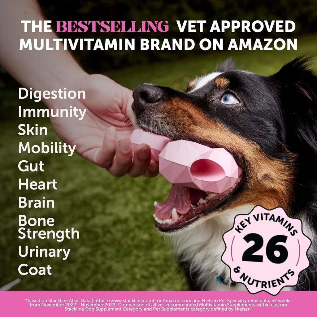 10 in 1 Multivitamin + Allergy Support Soft Chew Supplement Bundle - Skin & Seasonal Pollen Allergies - Itch Relief for Dogs - Joint, Digestive, Heart, Skin, Coat & Immune Support Vitamin 3