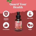 Bundle of Liver Support Supplement with NAC - Herbal Liver Supplement with N Acetyl Cysteine Silymarin Milk Thistle and GSE Grapefruit Seed Extract Liquid for Digestive and Health and Immune Support 6