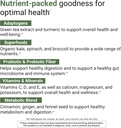 ACTIVATEDYOU Morning Complete Prebiotics, Probiotics, Green Superfoods (Apple Cinnamon) + Essential Skin Food Collagen, Elastin Support, 30 Servings 5