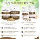 real-mushrooms-vitamin-d2-zinc-chaga-rei-5.jpg
