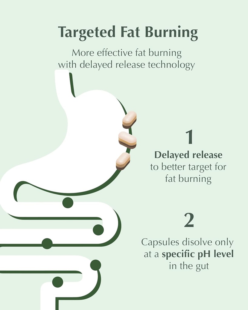 VITALBEAUTIE Metagreen Slim (Green Tea Extract, EGCG) Containing Catechin, Vitamin C for Healthy Physique, Healthy Cholesterol Level, Antioxidant, Vegan Supplement by AMOREPACIFIC - 30 Servings 4