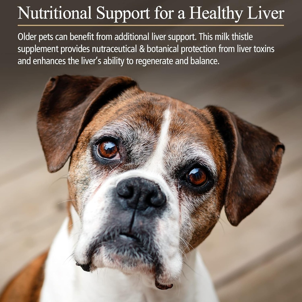 Rx Vitamins Hepato Support for Dogs & Cats - Milk Thistle for Healthy Liver Function - Silymarin Capsules for Pets - 90 ct. 4