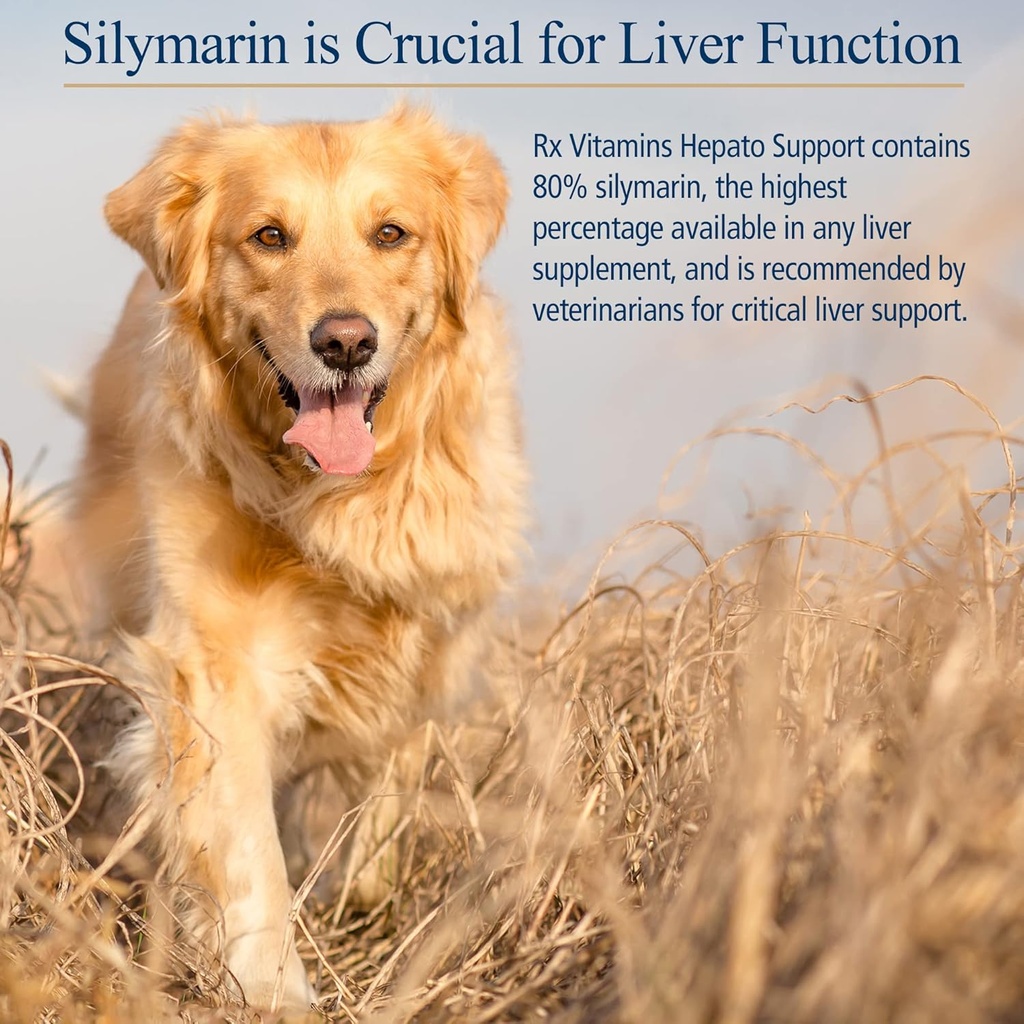 Rx Vitamins Hepato Support for Dogs & Cats - Milk Thistle for Healthy Liver Function - Silymarin Capsules for Pets - 90 ct. 6