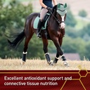 vita-flex-pro-pure-c-premium-quality-hor-4.jpg