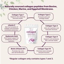 Micro Ingredients Multi Collagen Protein Powder 2 Pounds & Omega-3 Fish Oil 4,200 mg Softgels Bundle 2 Pack | Grass-Fed Collagen Peptides | Wild-Caught Fish, Lemon Flavored, Burpless 5