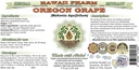 Hawaii Pharm Oregon Grape Alcohol-Free Liquid Extract, Oregon Grape (Mahonia aquifolium) Dried Root Glycerite Natural Herbal Supplement, USA 2x32 fl.oz 3