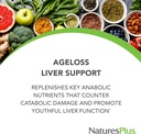 Natures Plus AgeLoss Liver Support - 90 Capsules - with Artichoke, Milk Thistle & Choline - Vegetarian, Gluten Free - 30 Servings 3
