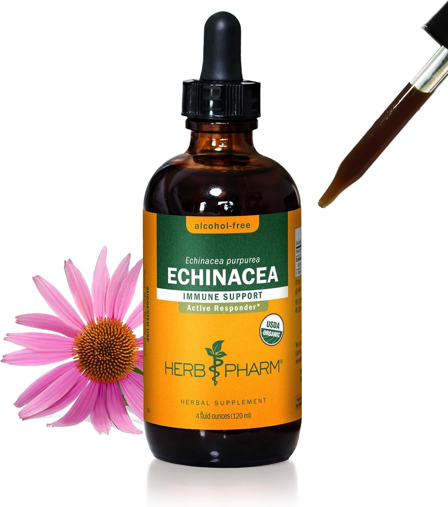 Herb Pharm Certified Organic Echinacea Root Liquid Extract for Immune System Support, Alcohol-Free Glycerite, 4 Ounce 2