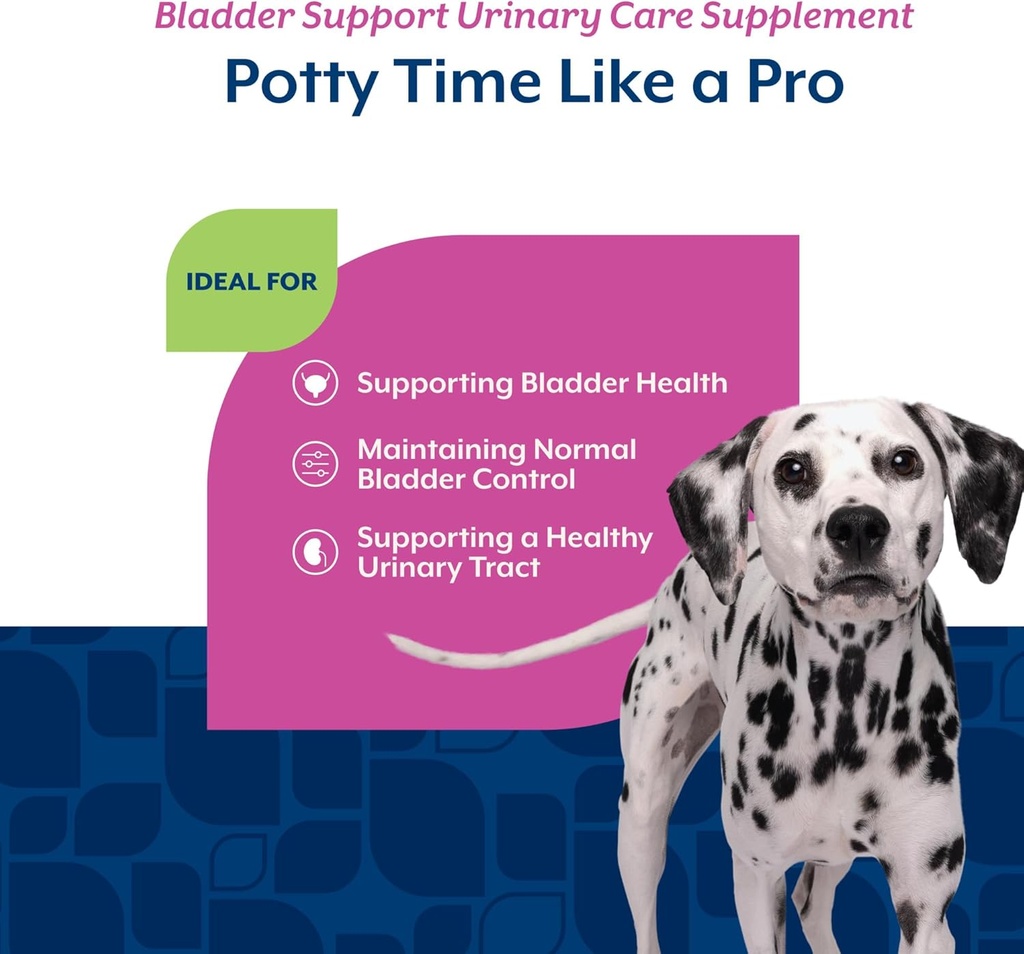 NaturVet – Bladder Support for Dogs – Plus Cranberry | Supports Healthy Bladder Control & Normal Urination | 60 Time Release Chewable Tablets 5