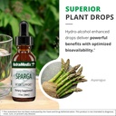 nutramedix-sparga-tincture---antioxidant-5.jpg