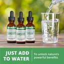 nutramedix-sparga-tincture---antioxidant-6.jpg