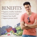 garden-of-life-multivitamin-for-men-vega-3.jpg