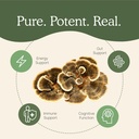 real-mushrooms-turkey-tail-for-humans-90-4.jpg
