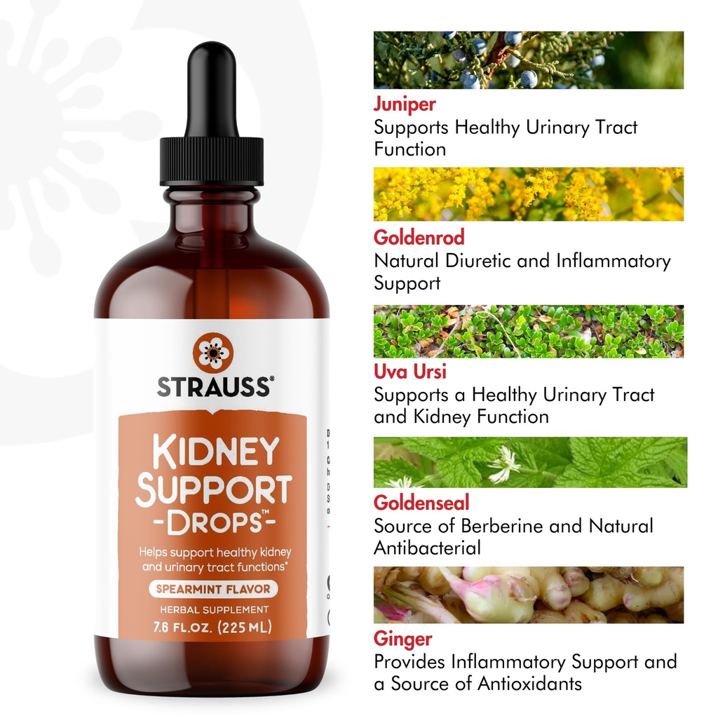 strauss-naturals-kidney-support-drops-he-4.jpg