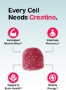 creatine-monohydrate-gummies-for-men-wom-2.jpg