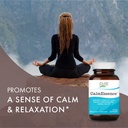 pure-essence-labs-calm-essence-natural-s-5.jpg
