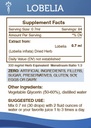 secrets-of-the-tribe-lobelia-liquid-extr-4.jpg