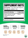bulksupplements-com-organic-bamboo-powde-2.jpg