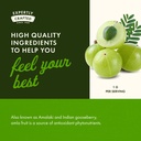 swanson-full-spectrum-amla-fruit-indian--5.jpg