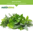naturalma-mugwort-artemisia-vulgaris-her-4.jpg
