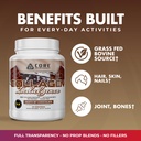 core-nutritionals-collagen-indulgence-hy-4.jpg